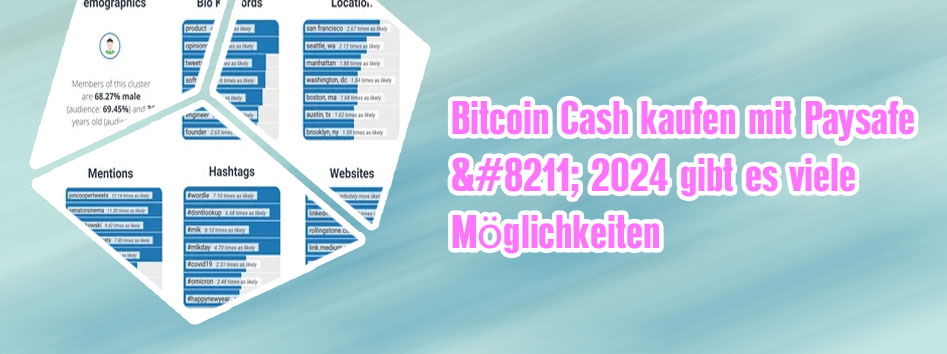 Bitcoin mit paysafe