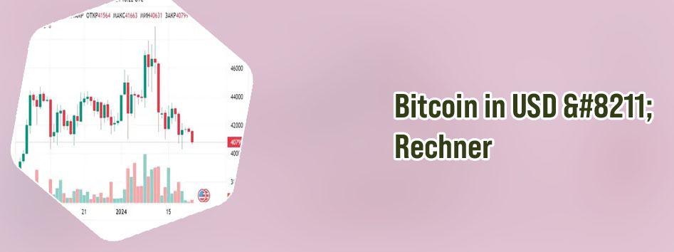 Bitcoin usd rechner